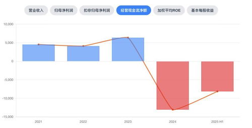 中创股份 上市光环下的业绩变奏与增长隐忧