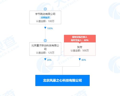 字节跳动关联公司布局基础软件服务领域，战略投资彰显科技生态新动向